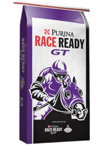 purina race ready gt