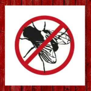 Equine Fly Supplies