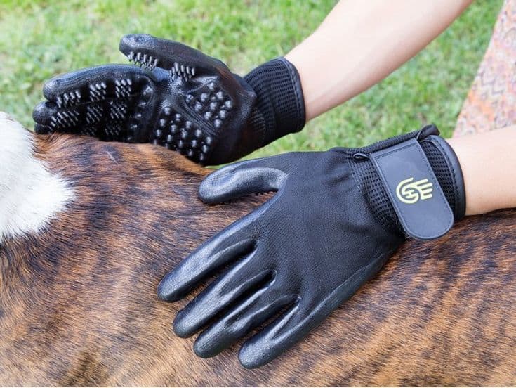 https://www.woodardmercantile.com/wp-content/uploads/2021/02/hands-on-gloves-dog.jpg